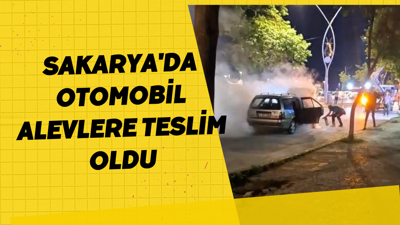 Sakarya'da Otomobil Alevlere Teslim Oldu