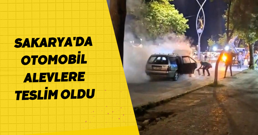 Sakarya'da otomobil alevlere teslim oldu