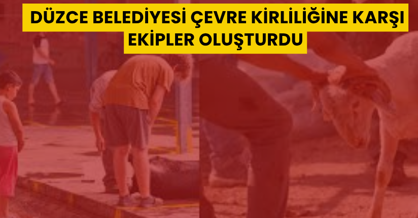 Düzce Belediyesi çevre kirliliğine karşı ekipler oluşturdu
