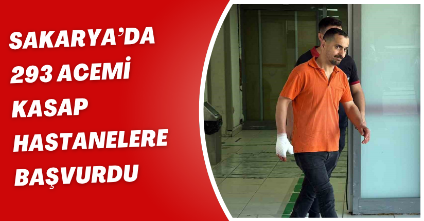 Sakarya’da 293 acemi kasap hastanelere başvurdu