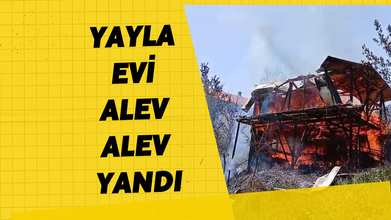 Yayla Evi Alev Alev Yandı