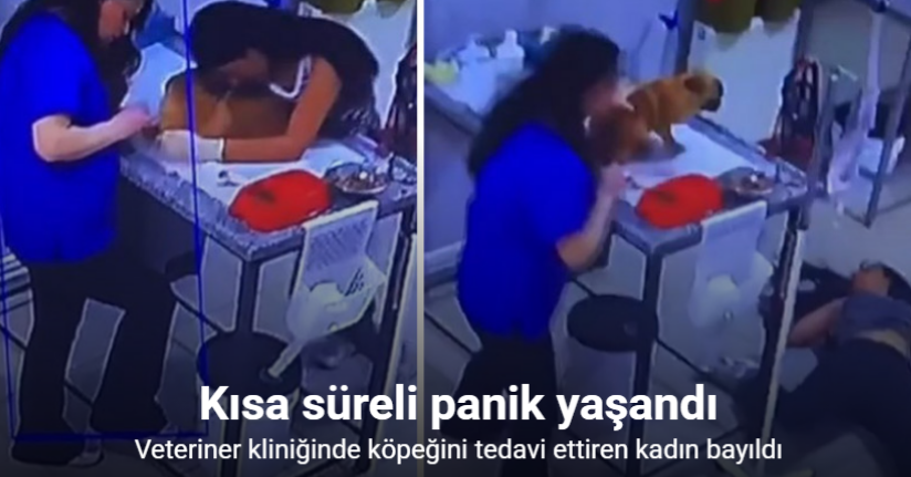 Veteriner kliniğinde köpeğini tedavi ettiren kadın bayıldı
