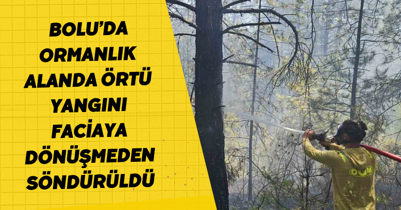 Bolu’da ormanlık alanda örtü yangını faciaya dönüşmeden söndürüldü