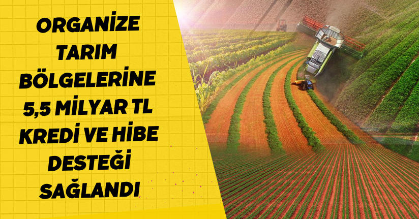 Organize Tarım Bölgelerine 5,5 milyar TL kredi ve hibe desteği sağlandı