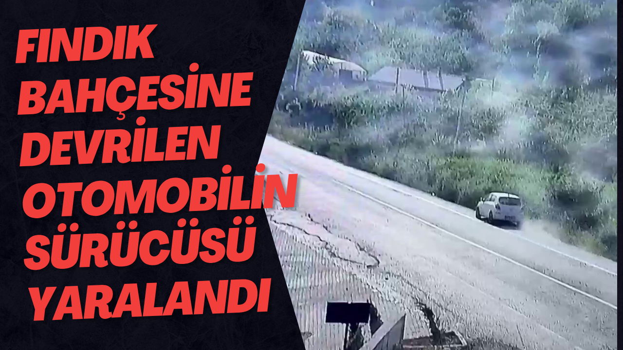 Fındık Bahçesine Devrilen Otomobilin Sürücüsü Yaralandı