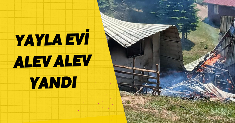 Yayla evi alev alev yandı