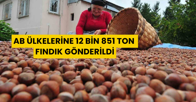 AB ülkelerine 12 bin 851 ton fındık gönderildi