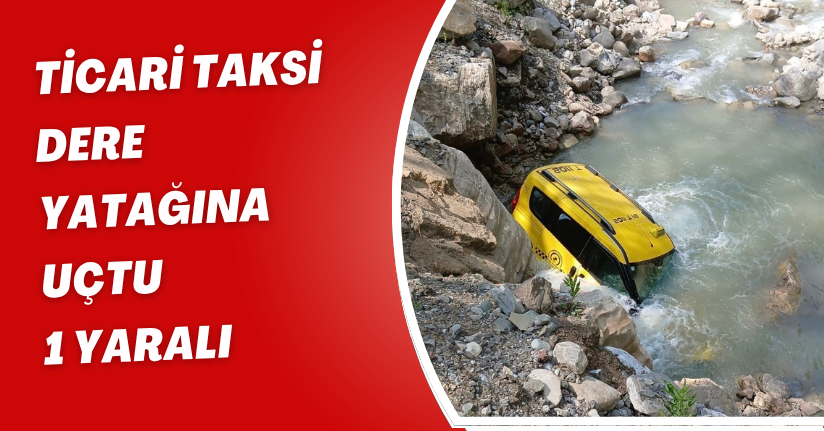 Ticari taksi dere yatağına uçtu: 1 yaralı