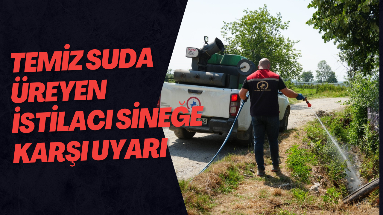 Temiz Suda Üreyen İstilacı Sineğe Karşı Uyarı