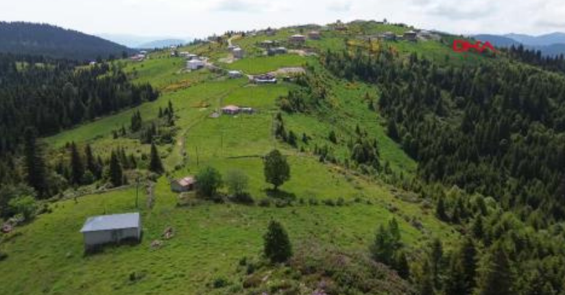 Karadeniz’de türkülü manili renkli yayla göçü