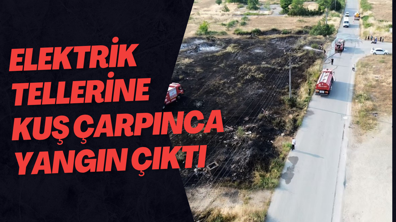 Elektrik Tellerine Kuş Çarpınca Yangın Çıktı