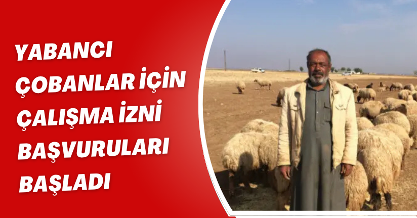 Yabancı çobanlar için çalışma izni başvuruları başladı