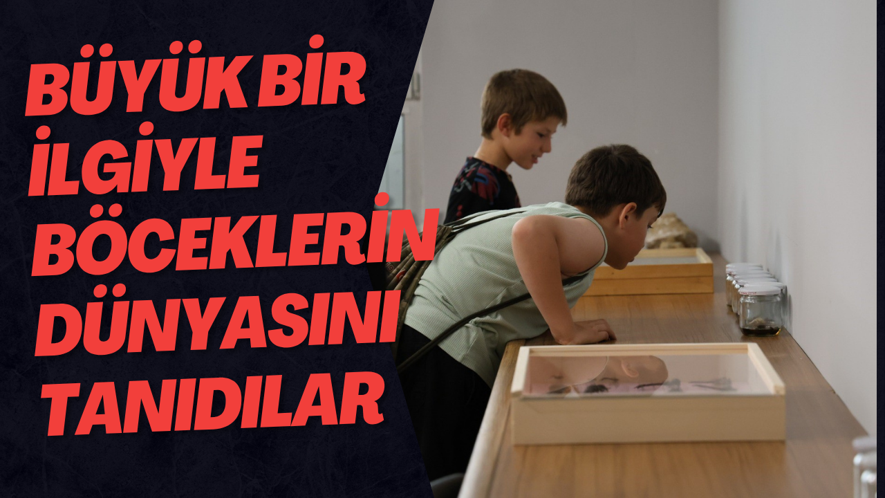Büyük Bir İlgiyle Böceklerin Dünyasını Tanıdılar