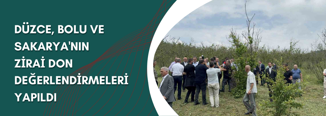 Düzce, Bolu ve Sakarya'nın Zirai Don Değerlendirmeleri Yapıldı