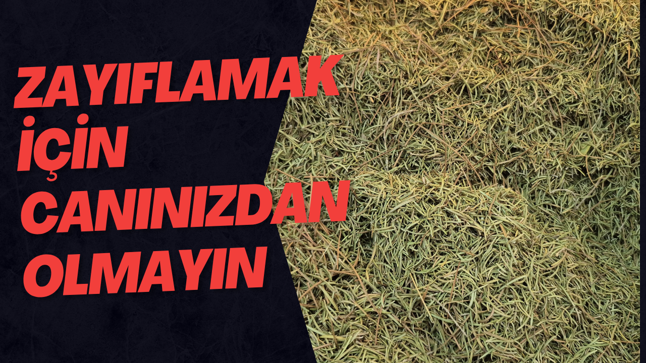 Zayıflamak İçin Canınızdan Olmayın