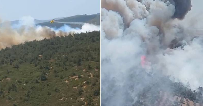 Foça’da orman yangını: Havadan ve karadan müdahale başladı