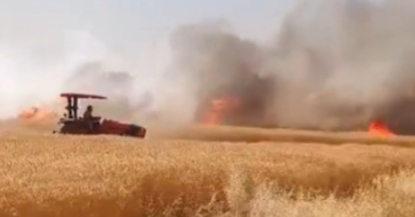 Şanlıurfa’da buğday tarlasında çıkan yangın kontrol altına alındı