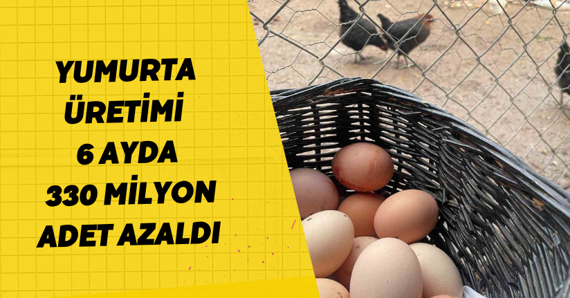 Yumurta üretimi 6 ayda 330 milyon adet azaldı