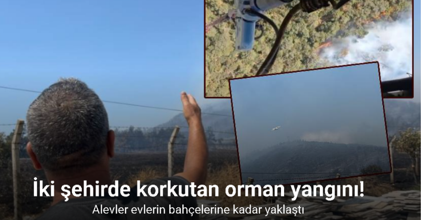İzmir ve Aydın'da orman yangını: Alevler evlerin bahçelerine kadar yaklaştı