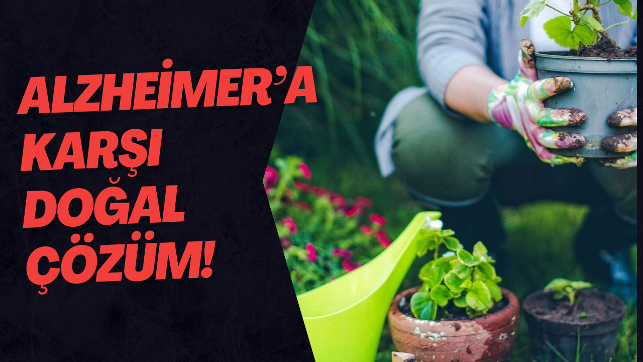 Alzheimer’a Karşı Doğal Çözüm!