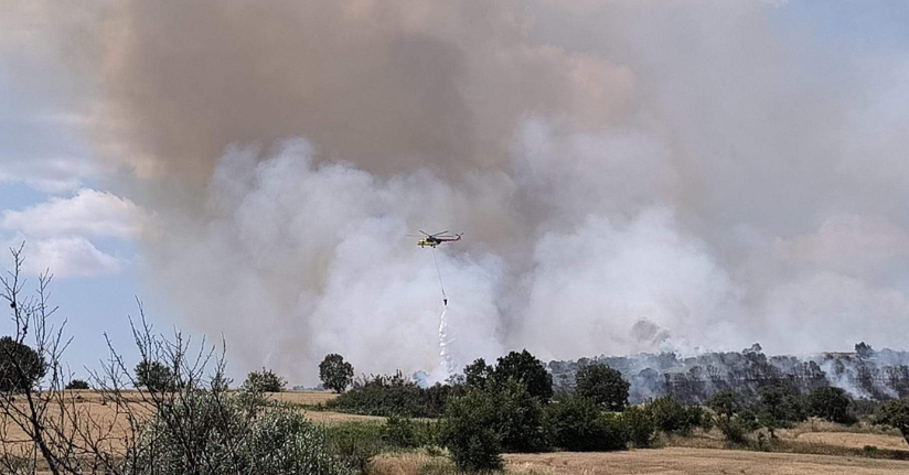 Edirne'de orman yangını