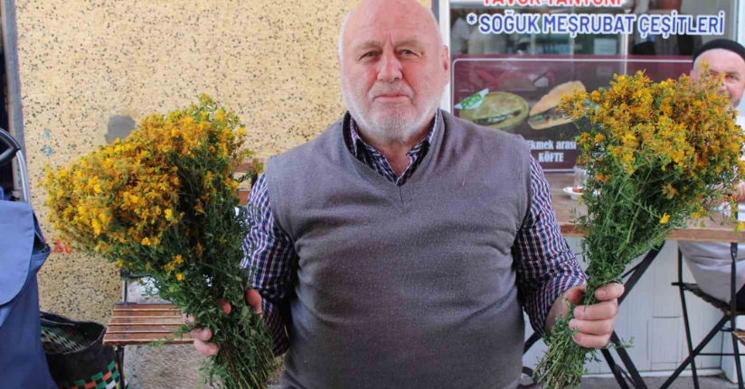 Bu çiçek hediye için değil sağlık için alınıyor