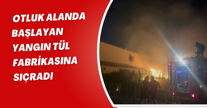Otluk alanda başlayan yangın, tül fabrikasına sıçradı