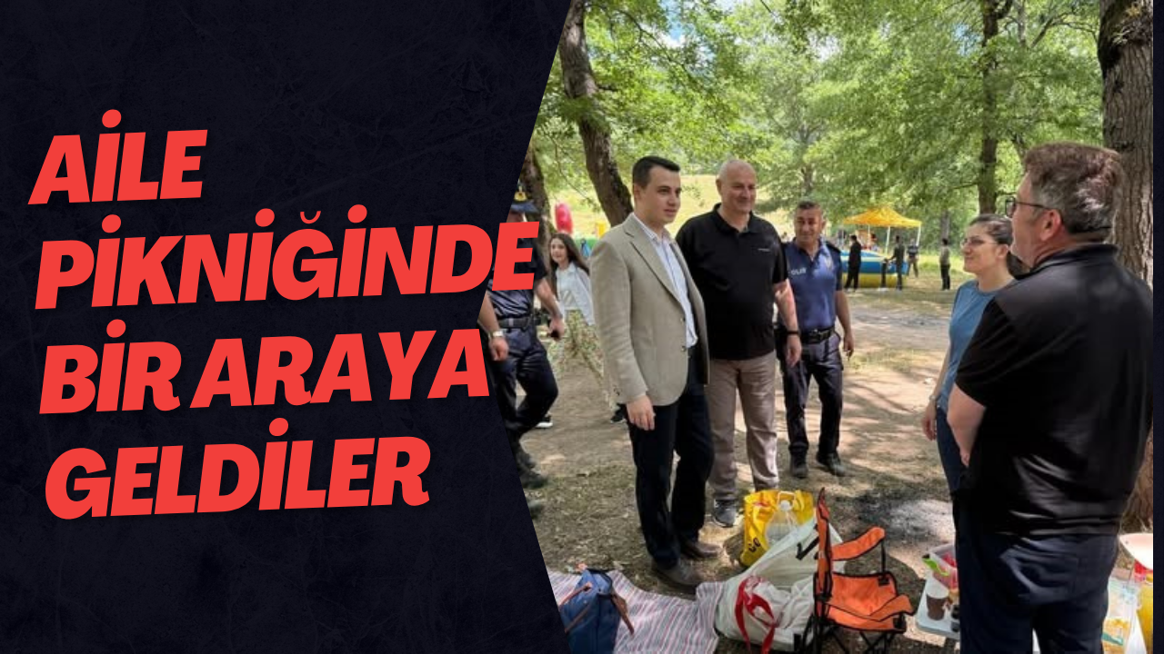 Aile Pikniğinde Bir Araya Geldiler