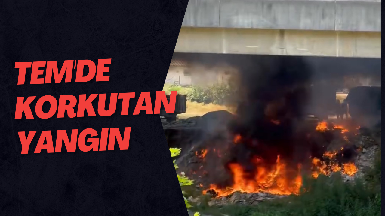 TEM'de Korkutan Yangın
