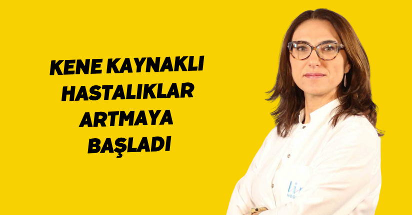 Kene kaynaklı hastalıklar artmaya başladı
