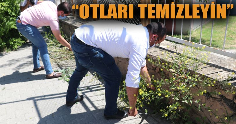 AK Parti İl Başkanı’ndan Başkan Özcan’a ot tepkisi