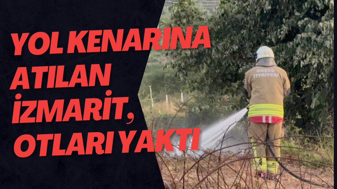 Yol Kenarına Atılan İzmarit, Otları Yaktı