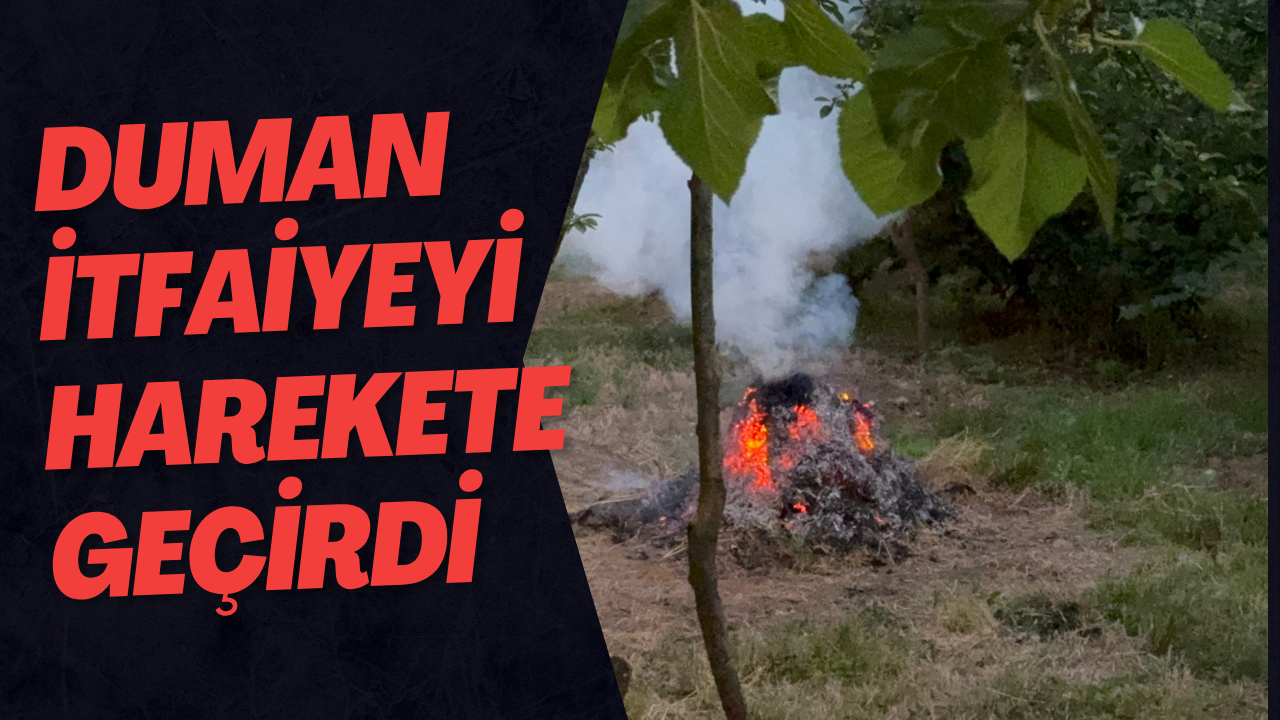 Duman İtfaiyeyi Harekete Geçirdi