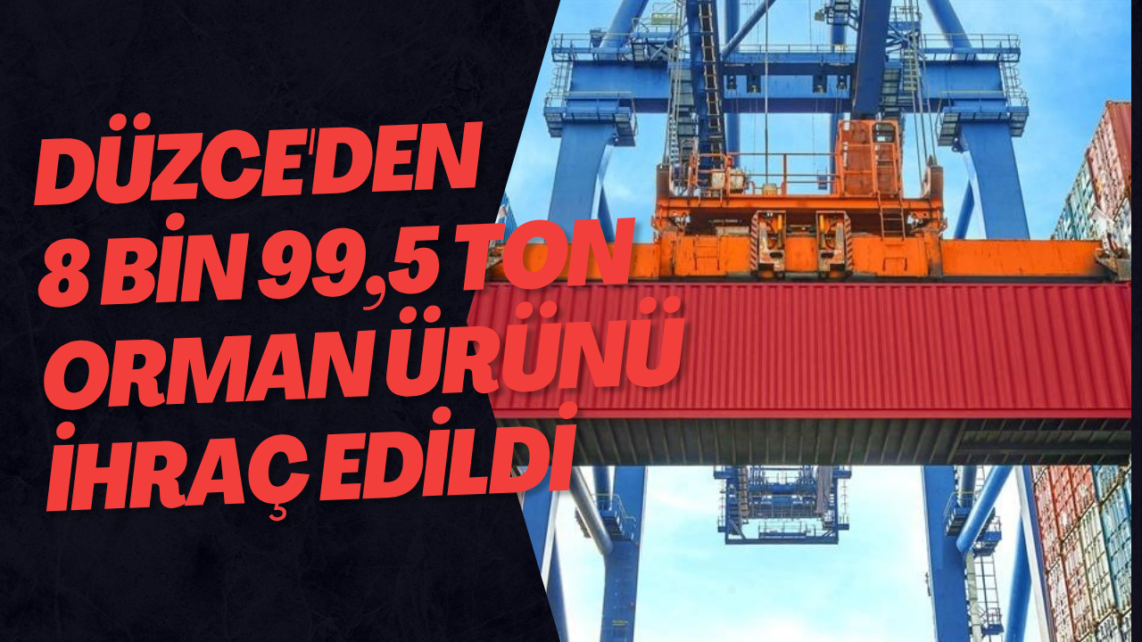Düzce'den 8 Bin 99,5 Ton Orman Ürünü İhraç Edildi
