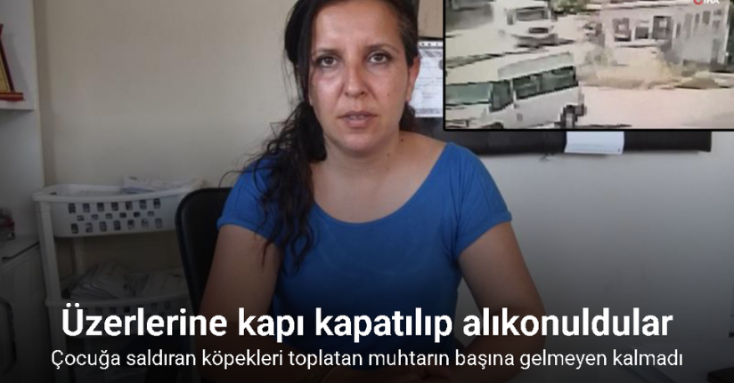 Çocuğa saldıran köpekleri toplatan muhtarın başına gelmeyen kalmadı: O anlar kamerada