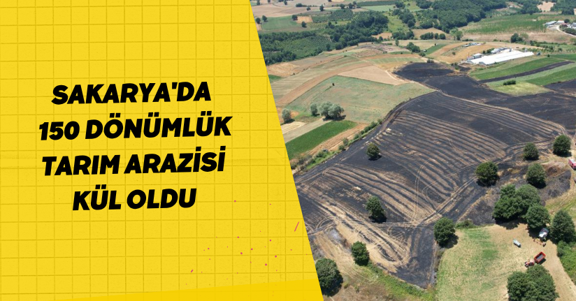 Sakarya'da 150 dönümlük tarım arazisi kül oldu