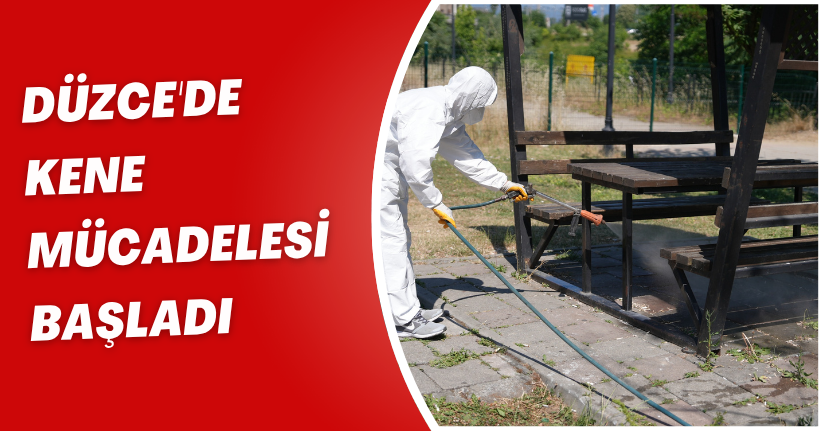 Düzce'de Kene Mücadelesi Başladı