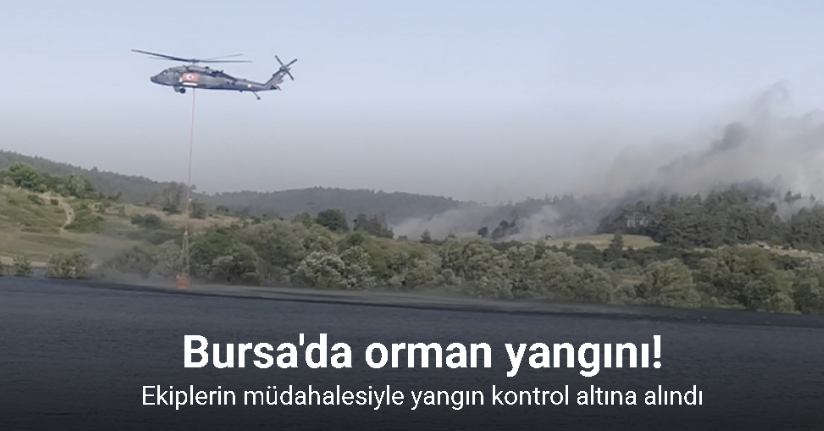 Bursa'daki orman yangını kontrol altına alındı