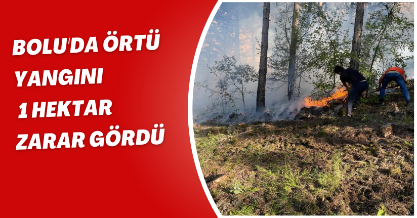 Bolu'da örtü yangını: 1 hektar zarar gördü
