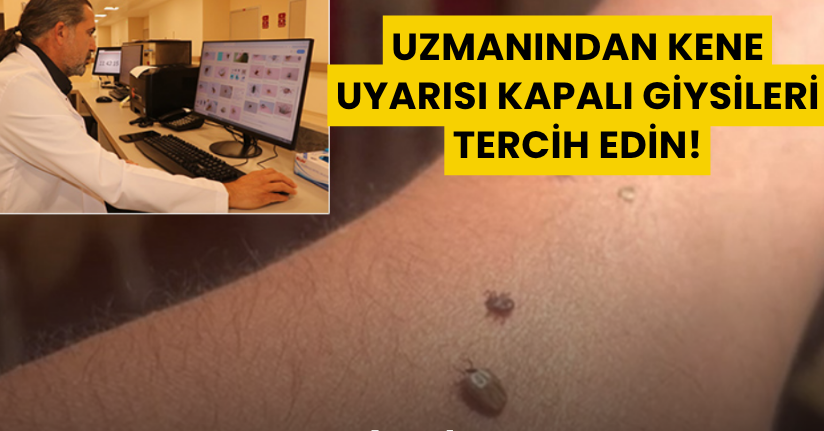 Uzmanından kene uyarısı; Kapalı giysileri tercih edin!
