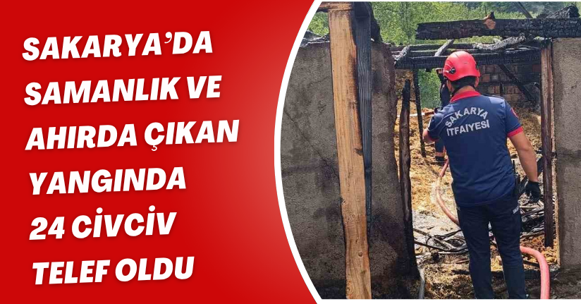 Sakarya’da samanlık ve ahırda çıkan yangında 24 civciv telef oldu