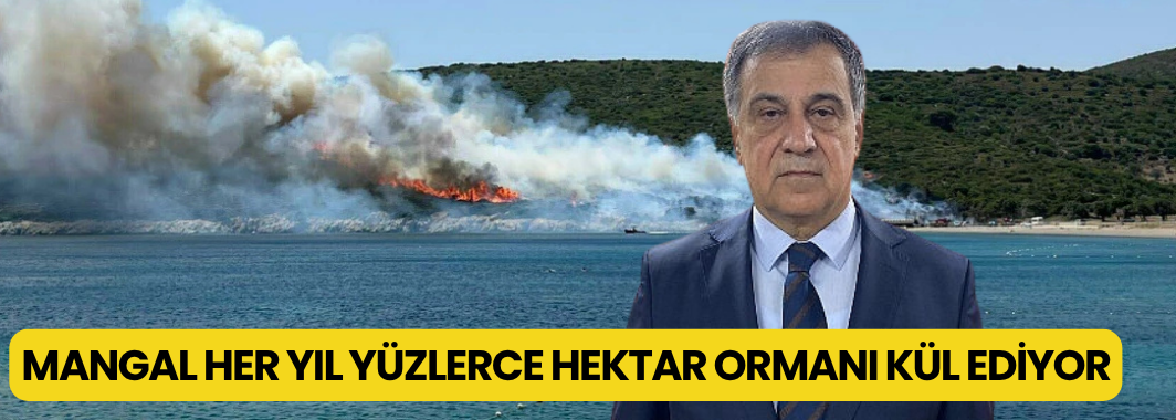 Mangal, Her Yıl Yüzlerce Hektar Ormanı Kül Ediyor!