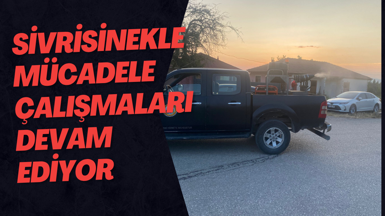 Sivrisinekle Mücadele Çalışmaları Devam Ediyor