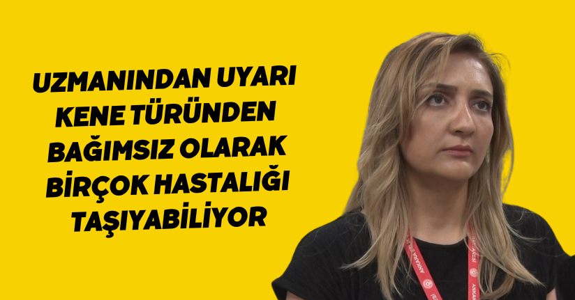 Uzmanından uyarı: 