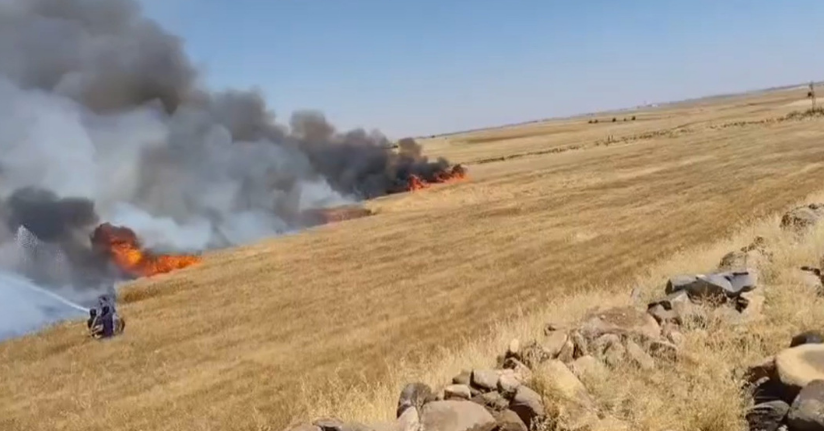 Şanlıurfa’da buğday tarlasında yangın: 1’i ağır 5 yaralı