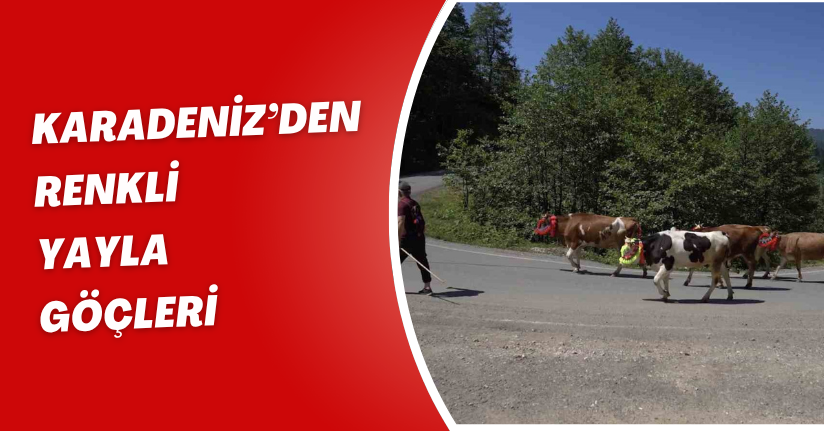 Karadeniz’den renkli yayla göçleri