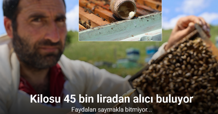 Kraliçe arının ömrünü uzatan şifa kaynağı, kilosu 45 bin liradan alıcı buluyor