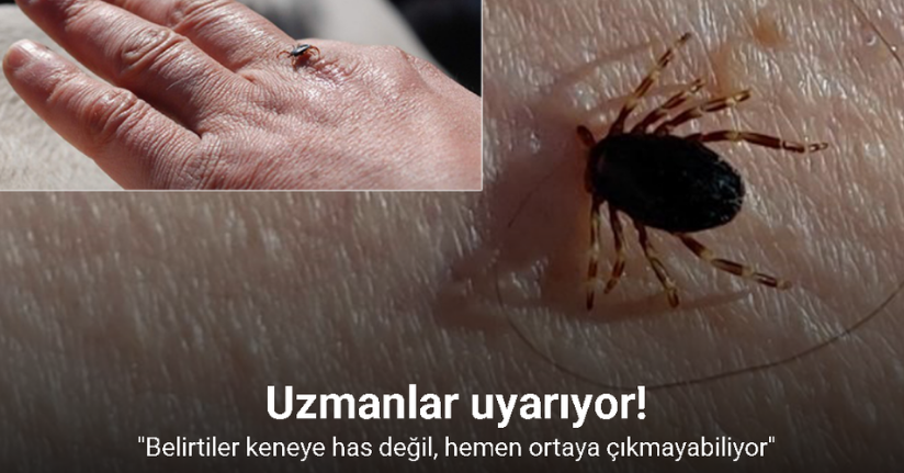 Uzmanlardan ’kene’ uyarısı: 
