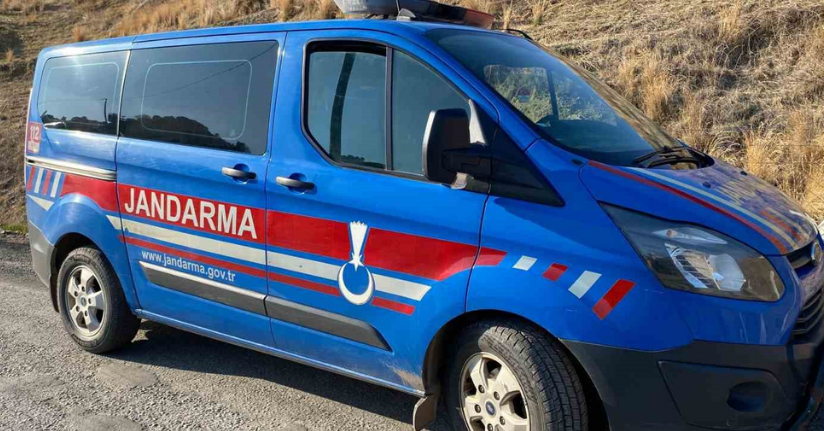 Genç kız hayvan damında ölü bulundu
