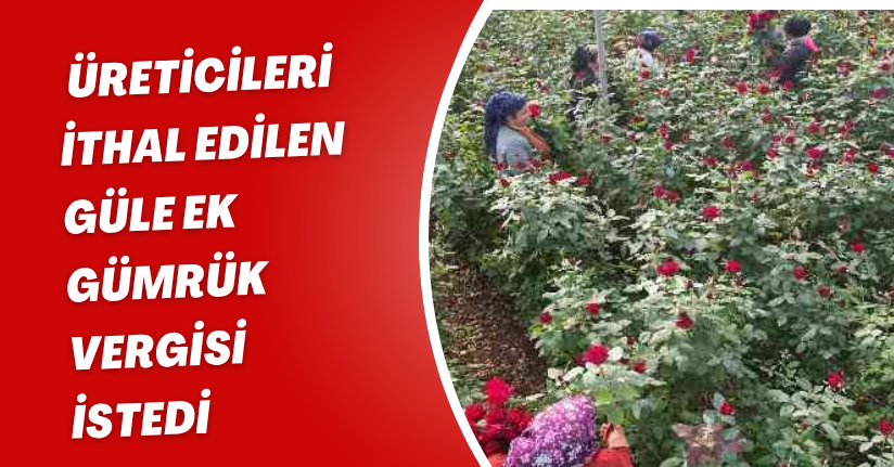 Üreticileri, ithal edilen güle ek gümrük vergisi istedi